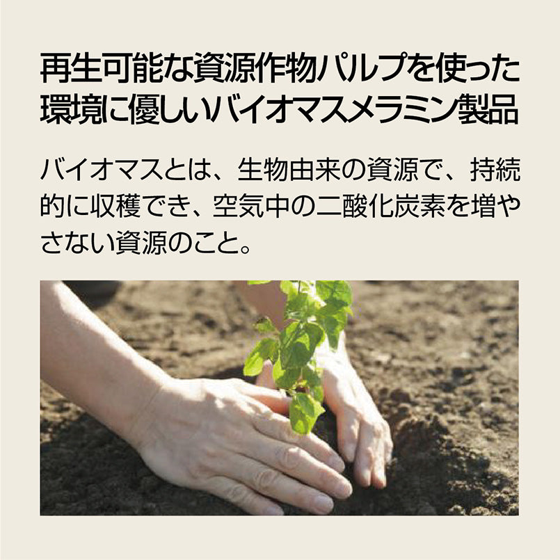 飯茶碗 小 身 こぐまちゃん J30B KO